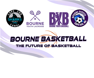 Youth Sports Leagues